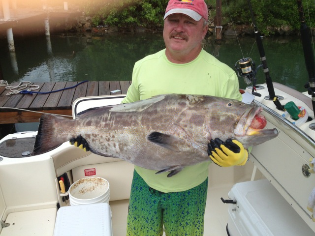 cathing giant fish at bootle bay fishing lodge